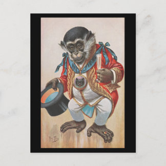 Singe habillé - carte postale allemande vintage