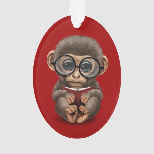 Singe mignon de bébé lisant un livre sur le rouge (dos)
