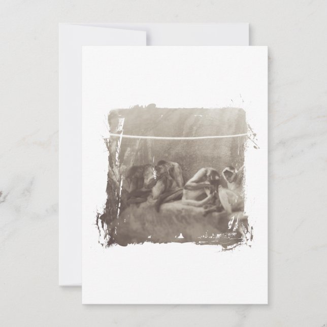 Singes-araignées (Devant)