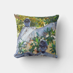 Singes De Langur Noir Manger, Coussin