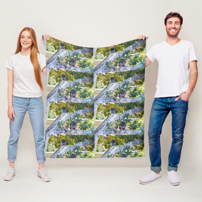 Singes de Langur Noir Manger, Couverture de polair (En situation)