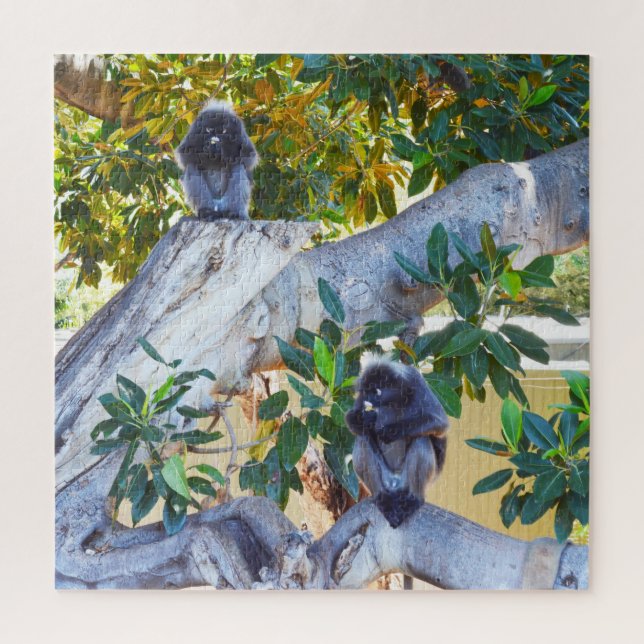 Singes de Langur Noir Manger, Puzzle (Vertical)