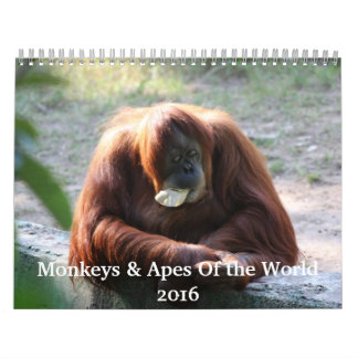 Singes et singes du monde Calendrier 2016