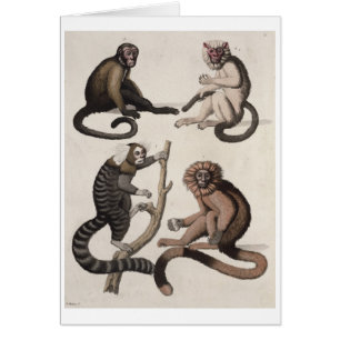 Singes (litho de couleur)