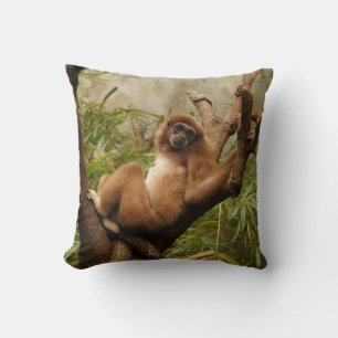 Singes réversibles sur un Coussin