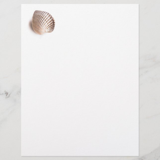 Single seashell (Devant)