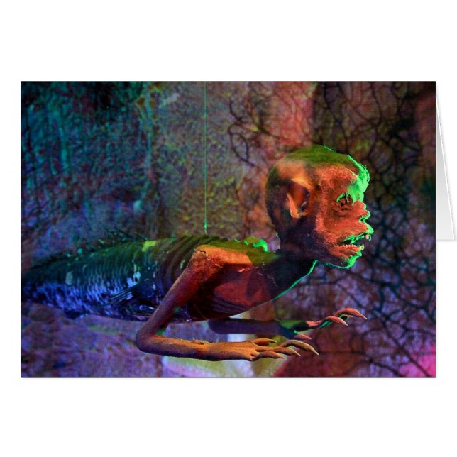 Sirène des Fidji (Devant horizontal)