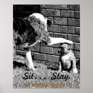 Sit- - - Séjour - - - Poster