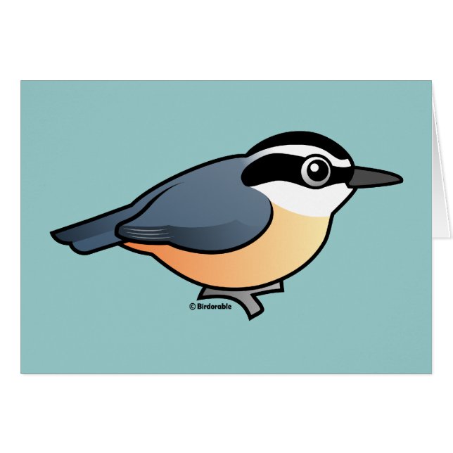 Sittelle à gorge rouge (Devant horizontal)