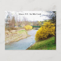 SIX MILE CREEK, ITHACA, N.Y. carte postale