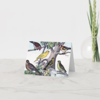 Six oiseaux colorés vintage carte postale art.