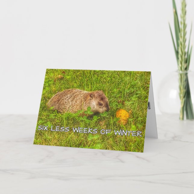 Six semaines de moins de carte de voeux hivernale (Devant)