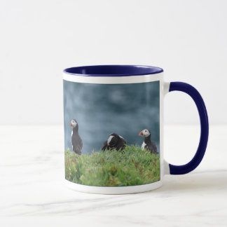 Six tasses de macareux