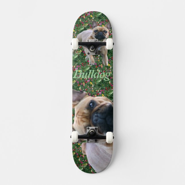 Skateboard (Recto)
