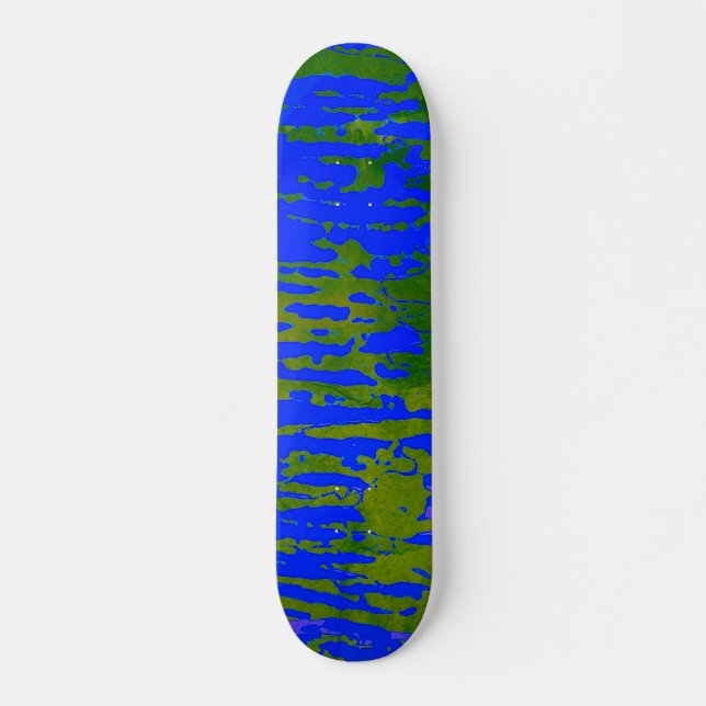 SKATEBOARD (Devant)