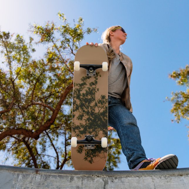 Skateboard (Extérieur 1)