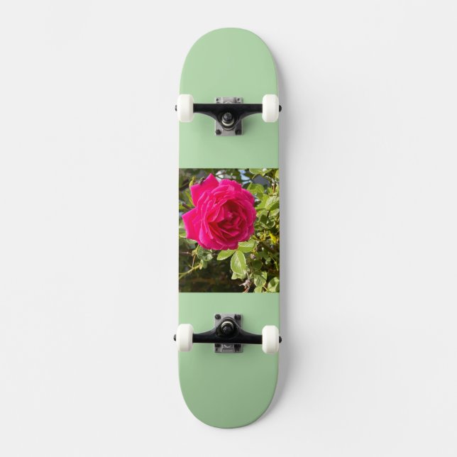 Skateboard (Recto)