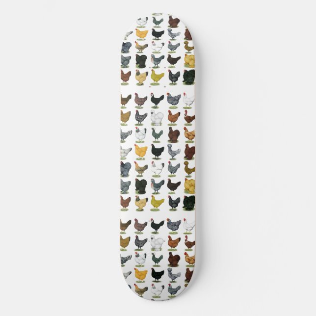Skateboard 49 poules de poulet (Recto)