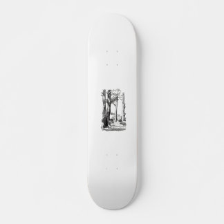 Skateboard à l'ombre des bois