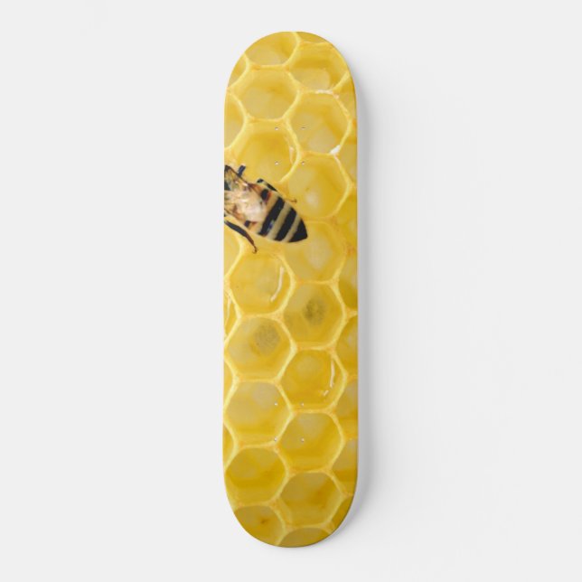 Skateboard abeille et nid d'abeille (Recto)