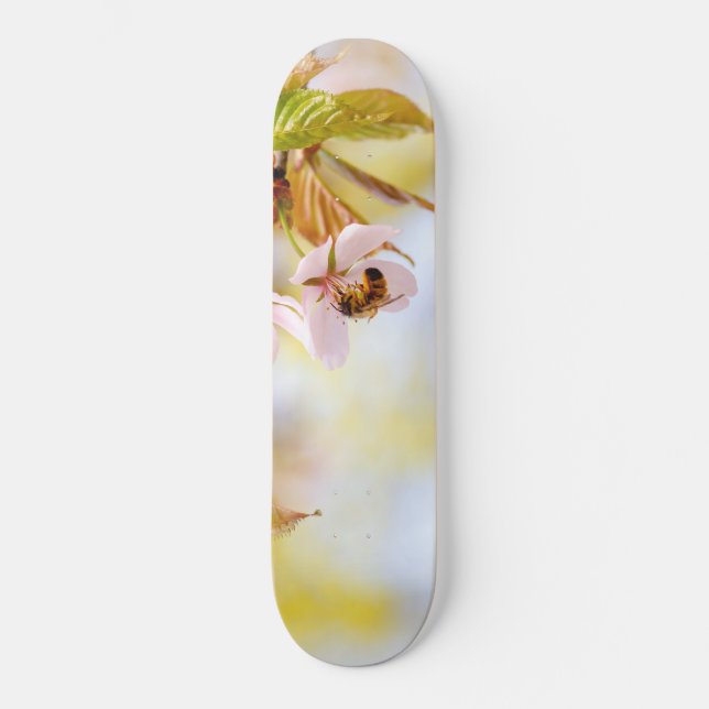 Skateboard Abeille Sur Une Fleur De Cerise (Recto)
