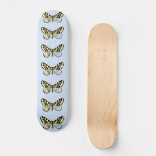 Skateboard Abraxas grand ulariata, The Magpie Moth Color Imag