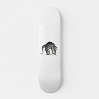 Skateboard abstrait de chat effrayé