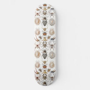 Skateboard Academia Noire Haeckel Vintage Araignée Symétrie A