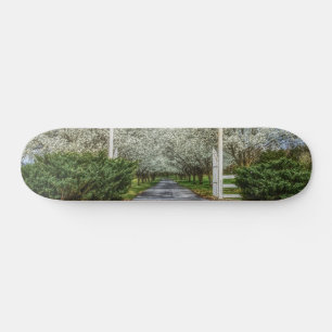 Skateboard Accueil du lecteur Spring