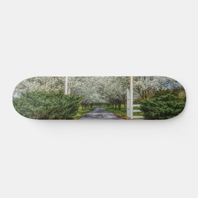 Skateboard Accueil du lecteur Spring (Horz)