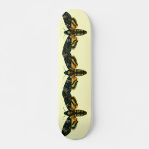 Skateboard Acherontia atropos
