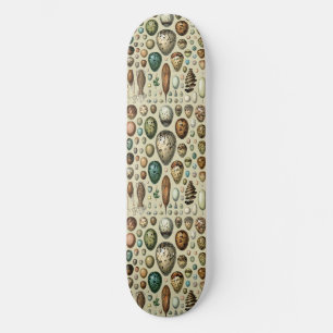 Skateboard Adolphe Millot Dark Academia Art Vintage d'Œuf d'O