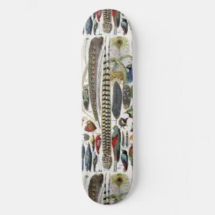 Skateboard Adolphe Millot Dark Academia Vintage Plume d'oisea