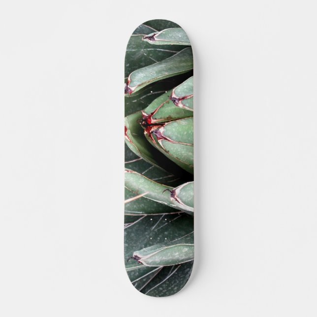 Skateboard Agave Aloe Vera Plante Photo Patinage (Devant)