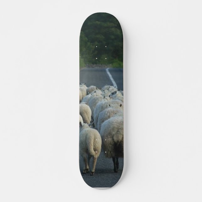Skateboard Agneaux de routes de moutons (Devant)