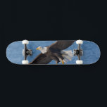 Skateboard Aigle chauve en vol<br><div class="desc">Aigle chauve,  Homer,  sud-centre de l'Alaska</div>