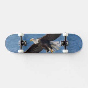 Skateboard Aigle chauve en vol