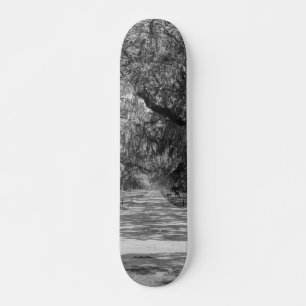 Skateboard Allée de chênes en nuances de gris