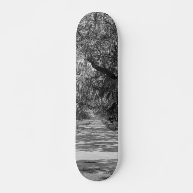 Skateboard Allée de chênes en nuances de gris (Devant)