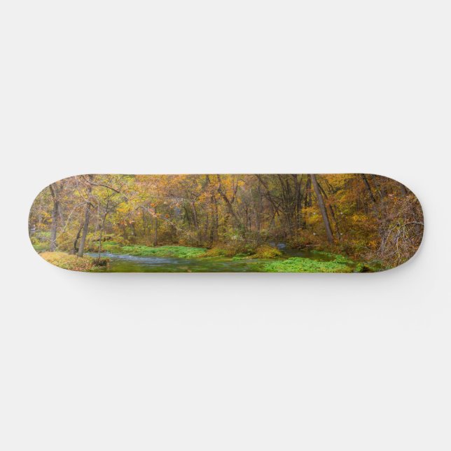 Skateboard Alley Spring Automne Water Skate (Horz)