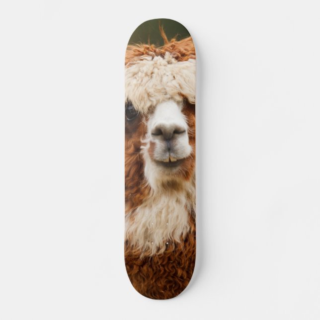 Skateboard Alpaga (Recto)