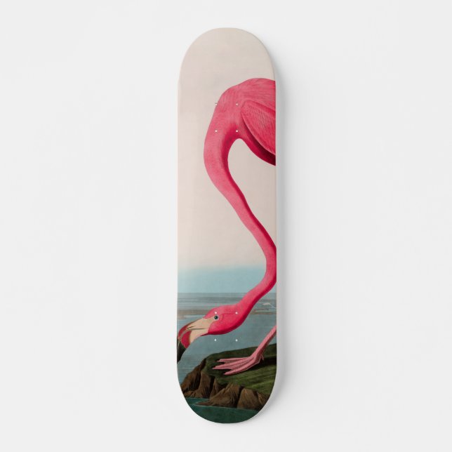 Skateboard American Flamant rose Birds of America Audubon Imp (Devant)