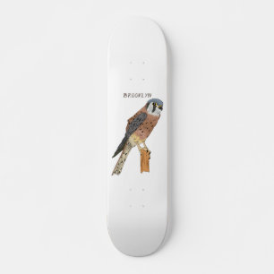 Skateboard American Kestrel bird illustration 