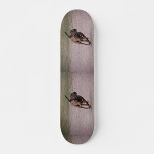 Skateboard Amstaff en cours
