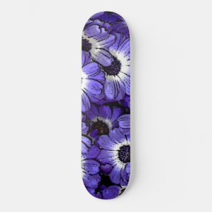 Skateboard Anémone