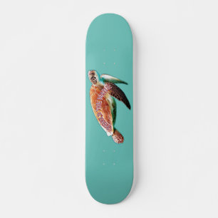 Skateboard animal aquatique