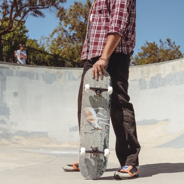 Skateboard Antilope solitaire,  (Extérieur 2)
