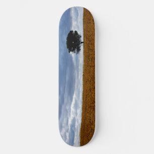Skateboard Arbre dans un champ vide