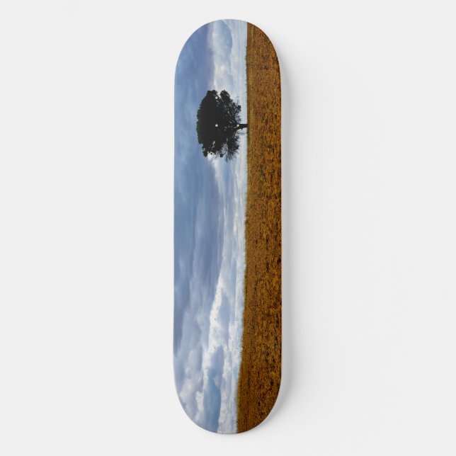 Skateboard Arbre dans un champ vide (Recto)