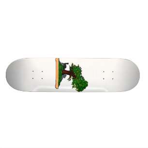Skateboard Arbre droit de bonsaïs de Penjing avec la roche